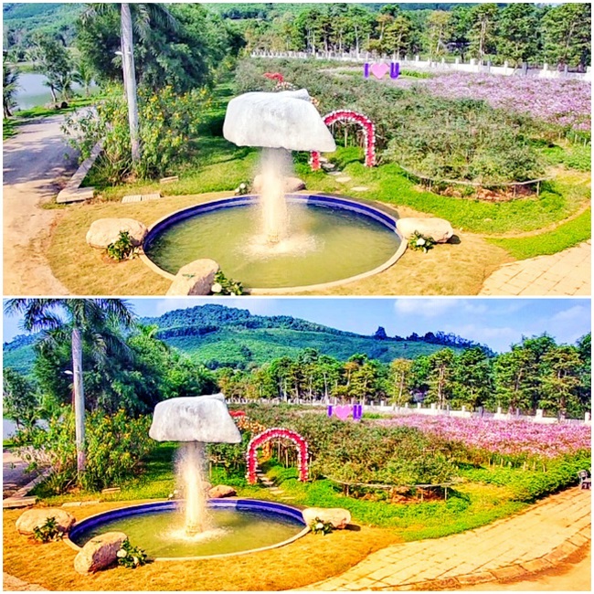 Nghệ An: “Cung đường hoa Phủ Quỳ” điểm đến của mọi cung bậc cảm xúc trước thiên nhiên